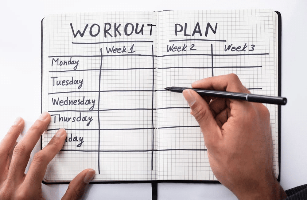 Split Routine Workout