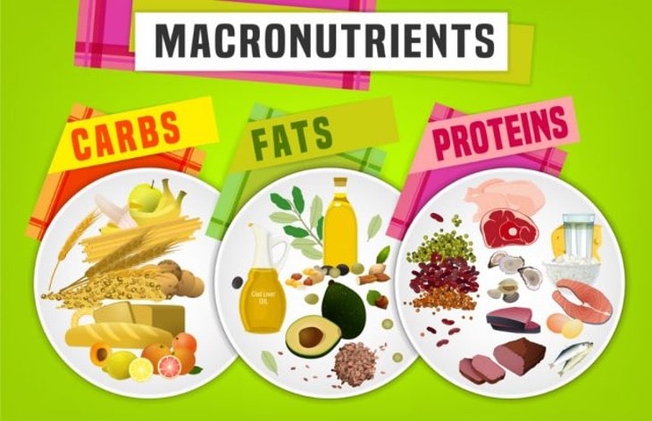 Macros Calculating