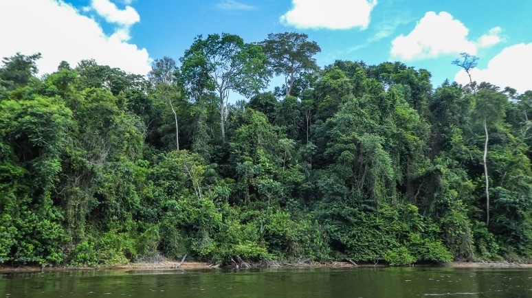 Astounding Benefits: COVID-19 Response Improves Suriname’s Health System