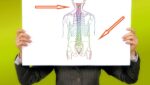 Spine Healthy, Spine Back with Back Pain, image of back pain