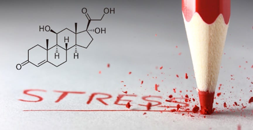Managing Stress With A Chronic Health Condition, pencil breaking