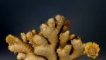 Turmeric and Ginger: Benefits Beyond Fighting Inflammation? 4