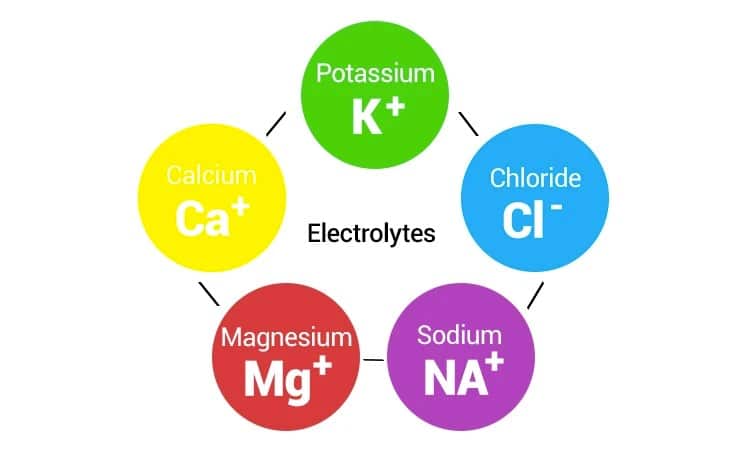 Electrolyte Imbalances and How To Correct Them
